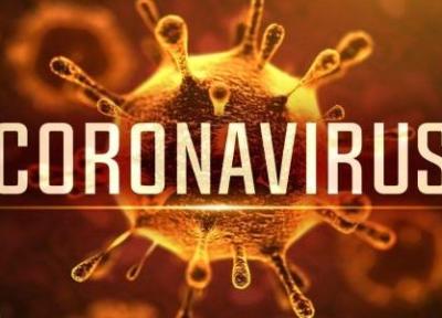 از بین بردن ویروس کرونا چرا بسیار سخت است؟ نکاتی مهم درباره ویروس کرونا