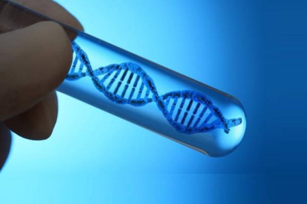 ساخت ژنوم مصنوعی که خود را تکثیر می کند