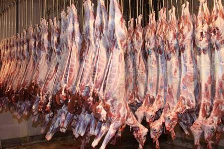 عرضه ذخایر گوشت منجمد گوساله به قیمت 55 هزار تومان