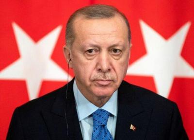 اردوغان: ترکیه در برابر تهدیدها در مدیترانه شرقی سر فرود نمی آورد