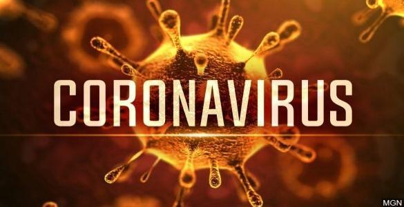 از بین بردن ویروس کرونا چرا بسیار سخت است؟ نکاتی مهم درباره ویروس کرونا