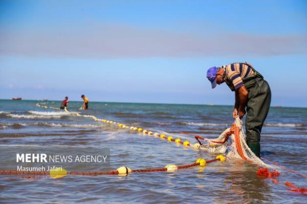 زیست دریا با اجرای 10 پروژه ملی در کشور توسعه می یابد