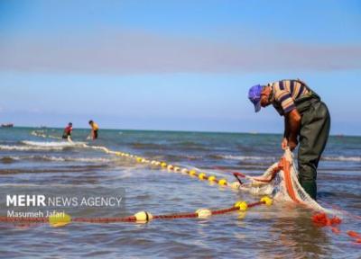زیست دریا با اجرای 10 پروژه ملی در کشور توسعه می یابد